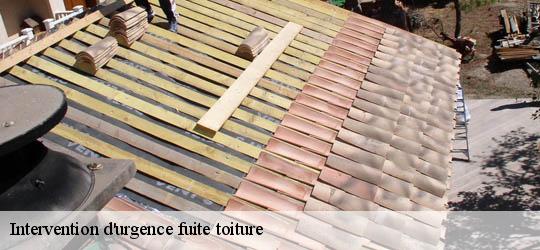 Intervention d'urgence fuite toiture 83400