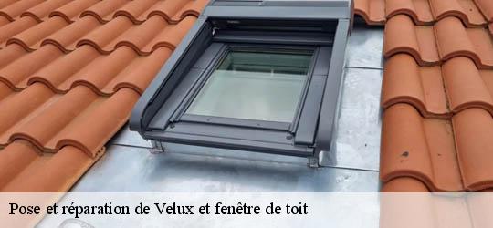 Pose et réparation de Velux et fenêtre de toit 83600