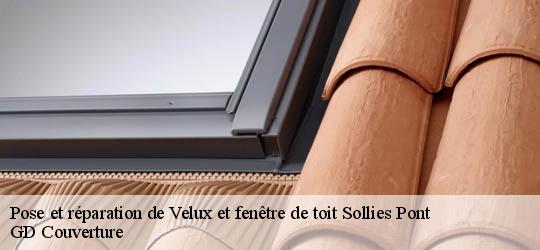 Pose et réparation de Velux et fenêtre de toit 83210