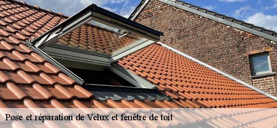 Pose et réparation de Velux et fenêtre de toit 83143