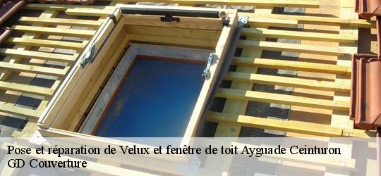Pose et réparation de Velux et fenêtre de toit 83400