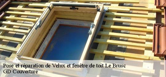 Pose et réparation de Velux et fenêtre de toit 83140