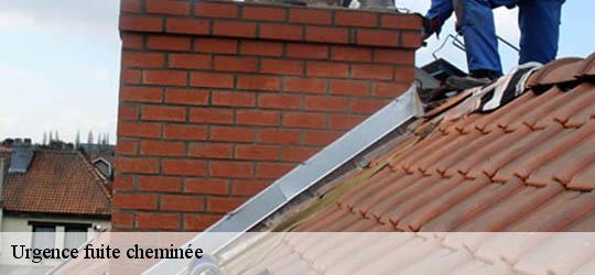 Urgence fuite cheminée  83600