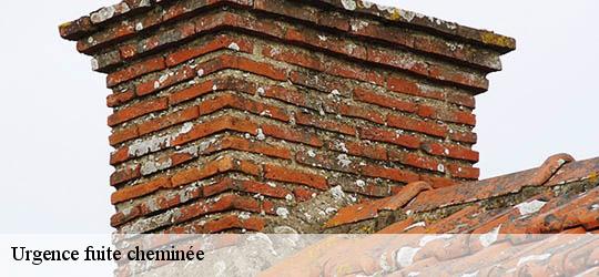 Urgence fuite cheminée 83300