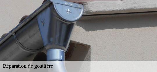 Réparation de gouttière 83840