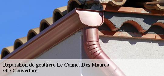 Réparation de gouttière  le-cannet-des-maures-83340 GD Couverture