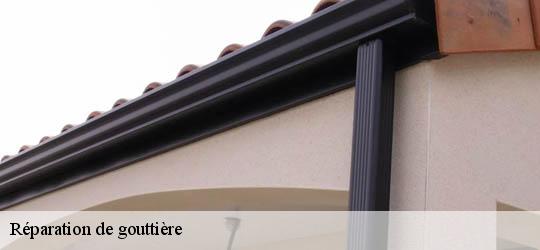 Réparation de gouttière 83310