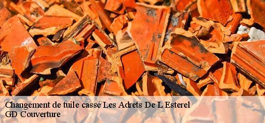 Changement de tuile cassé 83600