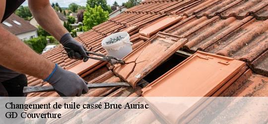 Changement de tuile cassé 83119