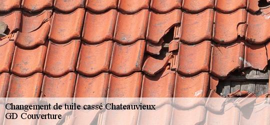 Changement de tuile cassé  chateauvieux-83840 GD Couverture