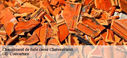 Changement de tuile cassé  83840