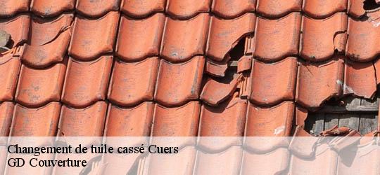 Changement de tuile cassé cuers-83390 GD Couverture