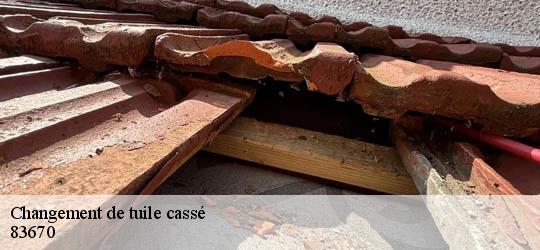 Changement de tuile cassé 83670