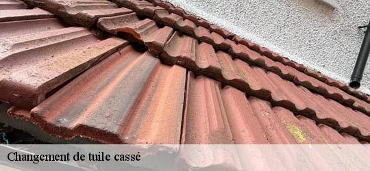 Changement de tuile cassé 83670