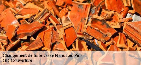 Changement de tuile cassé 83860