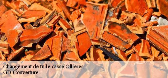 Changement de tuile cassé  83470