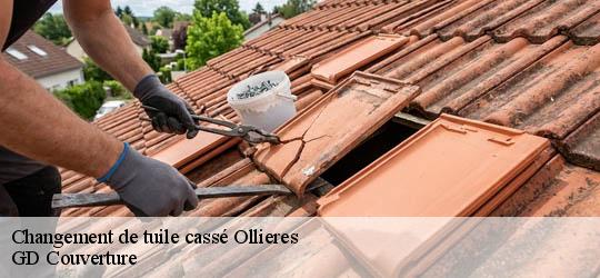 Changement de tuile cassé  83470