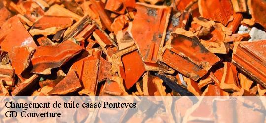 Changement de tuile cassé 83670
