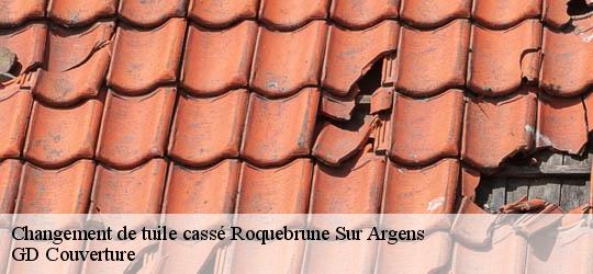 Changement de tuile cassé  roquebrune-sur-argens-83520 GD Couverture