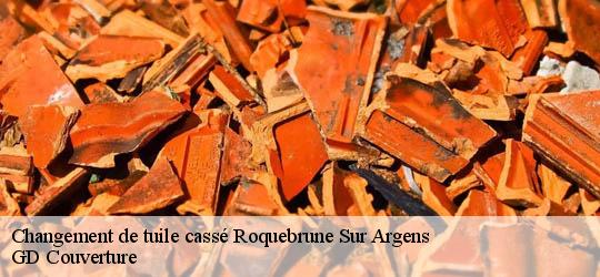 Changement de tuile cassé  83520