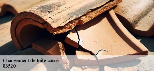 Changement de tuile cassé  83520