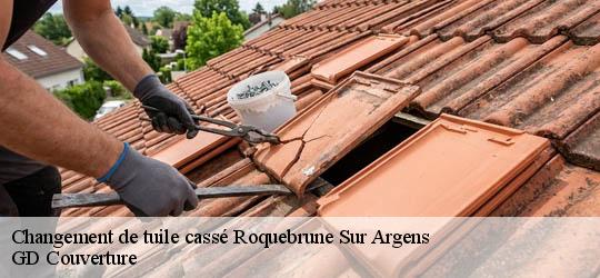 Changement de tuile cassé  83520