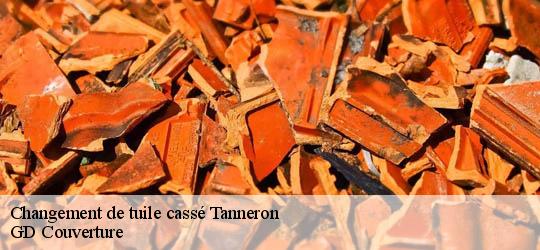 Changement de tuile cassé  83440