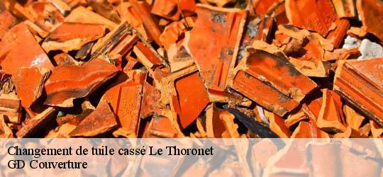 Changement de tuile cassé 83340