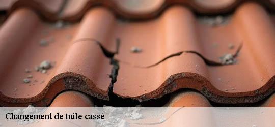 Changement de tuile cassé 83560