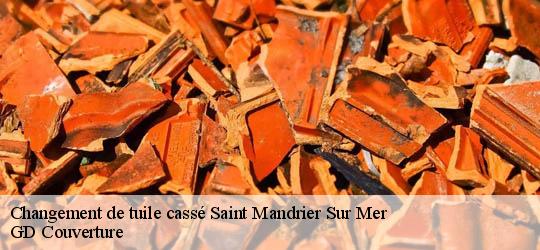 Changement de tuile cassé  83430